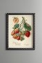 Strawberry Branch - Vintage Patterned Painting - Slim Model