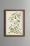 Floral Plant Study - Vintage Patterned Painting - Slim Model