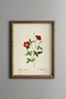 Red Rose Branch - Vintage Patterned Painting - Slim Model