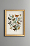 Butterfly Collection - Vintage Patterned Painting - Slim Model