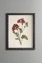 Carnation Bouquet - Vintage Patterned Painting - Slim Model
