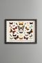 Butterflies and Moths - Vintage Patterned Painting - Slim Model