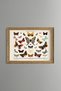 Butterflies and Moths - Vintage Patterned Painting - Slim Model