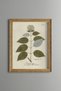 Ortanca Branch - Vintage Patterned Painting - Slim Model
