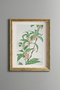 Floral Magnolia Branch - Vintage Patterned Painting - Slim Model