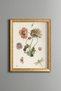 Poppy Flowers - Vintage Patterned Painting - Slim Model