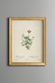 Small Wildflowers - Vintage Patterned Painting - Slim Frame