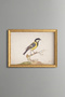 Dalda Baştankara - Vintage Patterned Painting - Slim Model