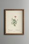 Small Wildflowers - Vintage Patterned Painting - Slim Frame