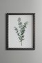 Eucalyptus Branch - Vintage Patterned Painting - Slim Model