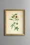 Ebegümeci - Vintage Patterned Painting - Slim Model