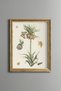 Puffball Flowers - Vintage Patterned Painting - Slim Model