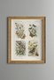 Flowers and Butterflies - Vintage Patterned Painting - Slim Frame