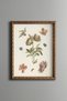 Flower and Fruit Branch - Vintage Patterned Painting - Slim Model