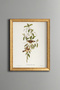Floral Branch - Vintage Patterned Painting - Slim Model