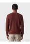 Peak New Season Brown Crew Neck Men's Knitwear Sweater - 3