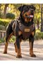 Premium Genuine Leather Dog Chest Harness – Durable, with Nameplate, Adjustable, Thick Leather, Antique-Style Accessories. - 2