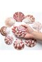 Shell 50PCS 2''-3'' Scallop Shell Small Seashells