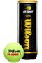 US Open Tennis Balls