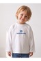 Minimalist Unprinted Oversized Long-Sleeve T-Shirt