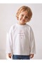 Minimalist Unprinted Oversized Long-Sleeve T-Shirt