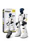 Bionic Smart Robot with Remote Control, LED Lights