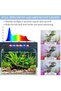 ضوء LED صغير لحوض السمك عبر USB، ضوء كامل الطيف لحوض السمك مع أقواس قابلة للتمديد، قابل للتعديل - 4