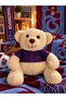 25 cm Fan Jersey Teddy Bear Print