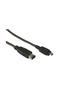 FireWire 4pM-6pM 2 m