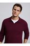 Burgundy Comfort Fit Sweater 50328518-VR014 - 2