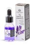 Global Fashion Vitamin E Nail & Cuticle Oil – Strengthen & Nourish Nails, Perfect for Brittle Nails | (Cuticle Oil Lavender, 15ml) - 2