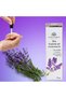 Global Fashion Vitamin E Nail & Cuticle Oil – Strengthen & Nourish Nails, Perfect for Brittle Nails | (Cuticle Oil Lavender, 15ml) - 6