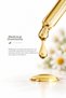Medical Chamomile Oil |   100 ml - 100% Pure and Natural - 5