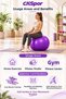65 cm Pilates Ball, for Individuals with a Height Range of 165–180 cm + Pump. - 4