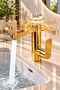 Gold Silva 360-Degree Swivel Spout Faucet, Gold-Colored Luxury Bathroom Faucet. - 5