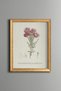 Red Flower Illustration - Vintage Patterned Painting - Slim Model
