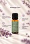 Lavender Essential Oil | 10 ml - 100% Pure and Natural - 6