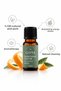 Orange Peel Essential Oil | 10 ml - 100% Pure and Natural