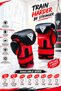 Rbl-Only for Children!! Custom Red and Black Series Boxing Training Gloves