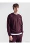Quality Parts from Çelebi Store Zero Roba Yaka Popular Cartoon Hero Themed Embroidered Men's Sw...