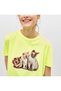 Tricou, Verde - 3