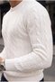 Leone Anti-Peeling Anti-Pilling Hairless Knitted Crew Neck Men's Sweater - Ecru - 4