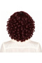14 Inch Afro Bouncy Curls Human Hair Wig – | Natural Afro Human Hair Curls - 3