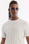Men's Ecru Crew Neck Easy Ü Tulle Enen Wrinkle-Free Regular Fit Knitwear T-Shirt A61Y5026 - 2