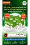 مجموعة التوفير 4 عبوات ديكسكوم ون بلس (ONE+) - مستشعر وحساس قياس السكر بدون وخز (يكفي لمدة 40 يوم) - 2