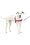 Easy Walk Harness, Medium/Large, Red/Black