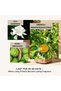 مجموعة ناشر عطر بالزهور/الحمضيات والبرغموت والفانيليا/125 مل/ناشر زيت عطري مع أعواد - 3