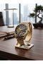Bagolee Automatic Men's Wristwatch - 7