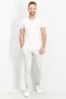 Men Regular Fit Printed Jogger Pants, Grey - 3