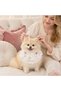 Circular Pet Bandana, White, Lightweight, Adjustable, Multi Purpose - 4